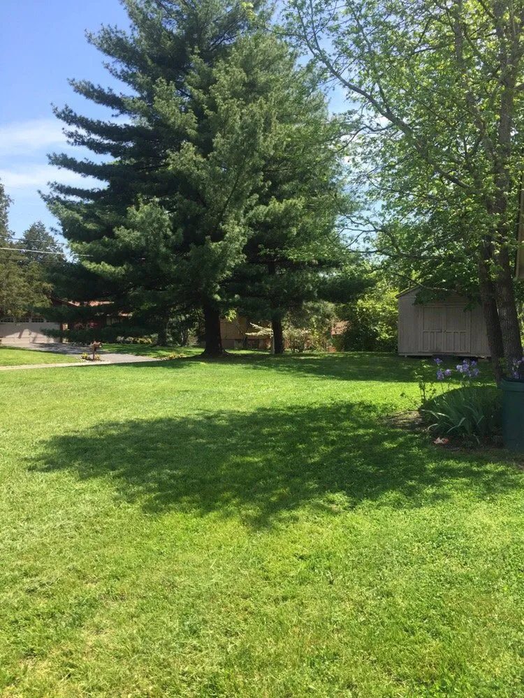 Local lawn care service experts serving Knoxville, TN - Knoxville Mowing Service