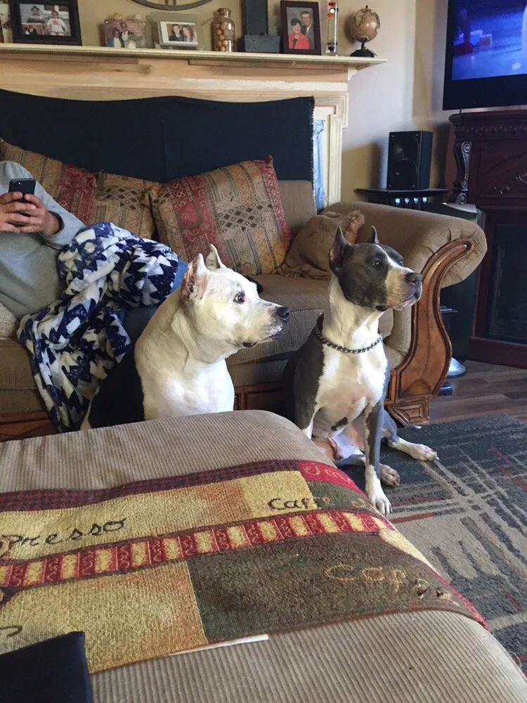 Local landscaping services experts serving Knoxville, TN - Knoxville Mowing Service