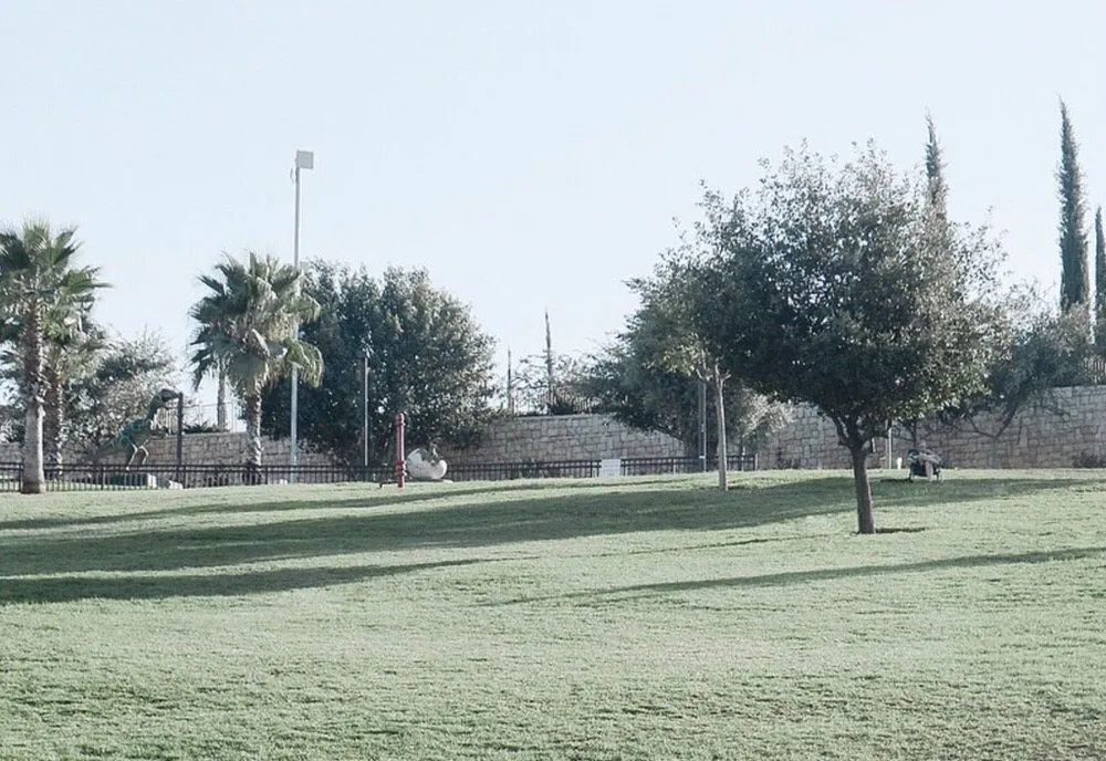 Top-rated lawn care service experts serving Knoxville, TN - Knoxville Mowing Service