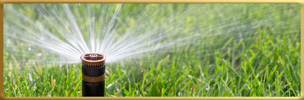 Top-rated residential landscaping experts serving Kansas City, MO - KNS OutDoor Services