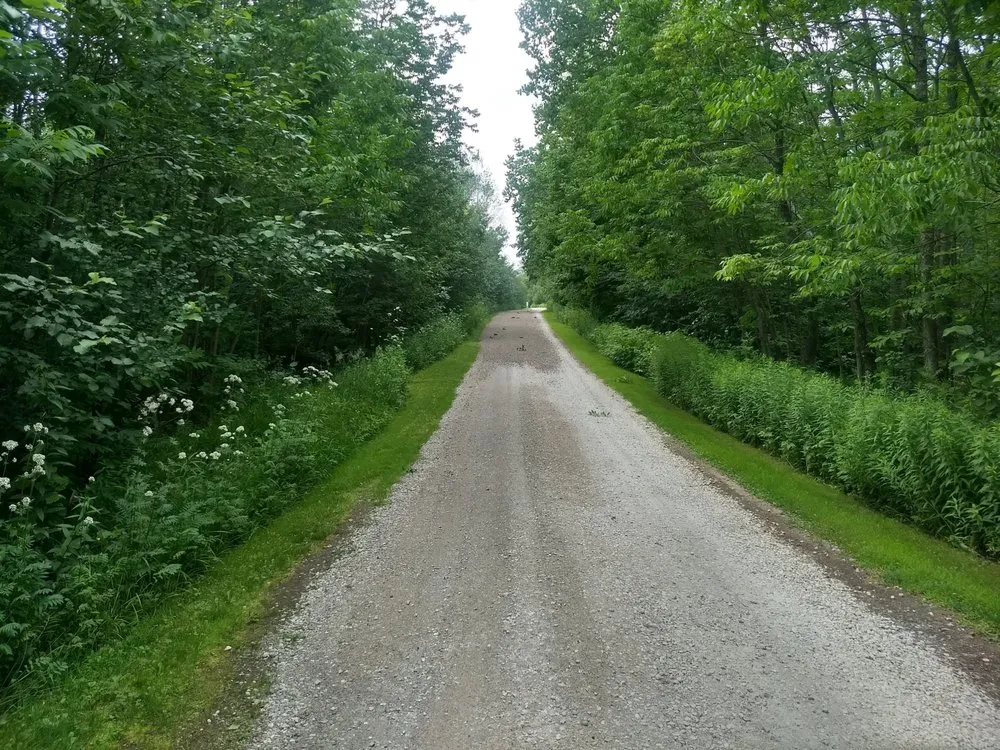 Local outdoor landscaping for beautiful yards across Duluth, MN - Knudsen Landscaping & Excavating