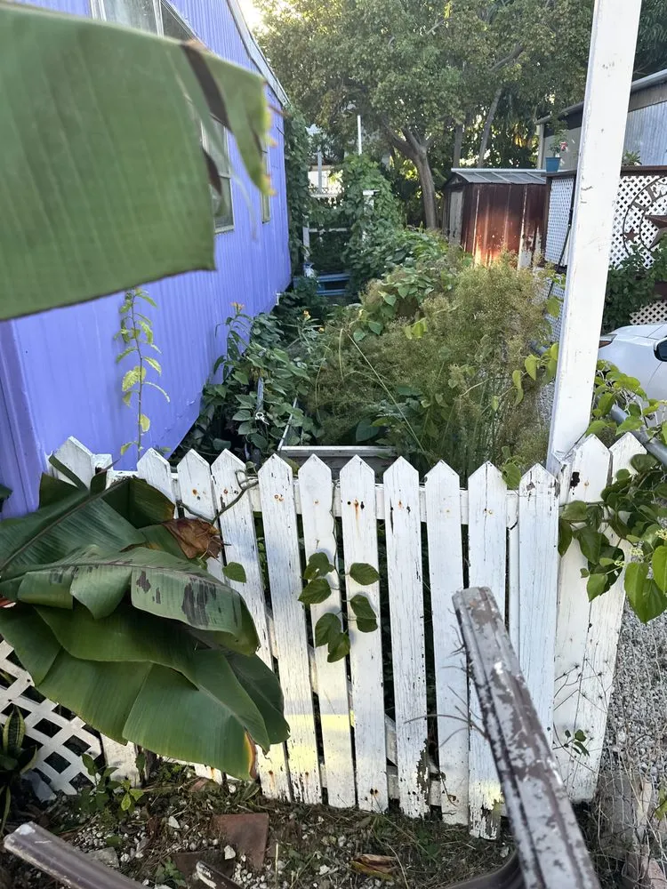 Trusted yard cleanup service in Key West, FL by KNW Rivera Lawn Service