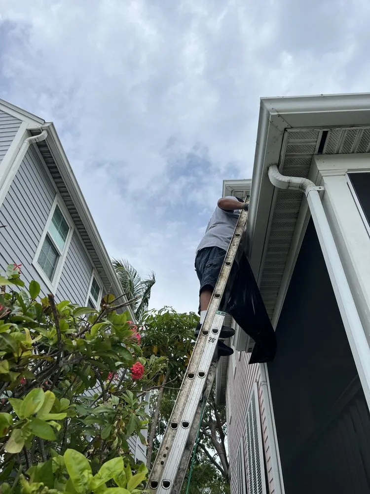 Reliable garden landscaping for outdoor upgrades across Key West, FL - KNW Rivera Lawn Service