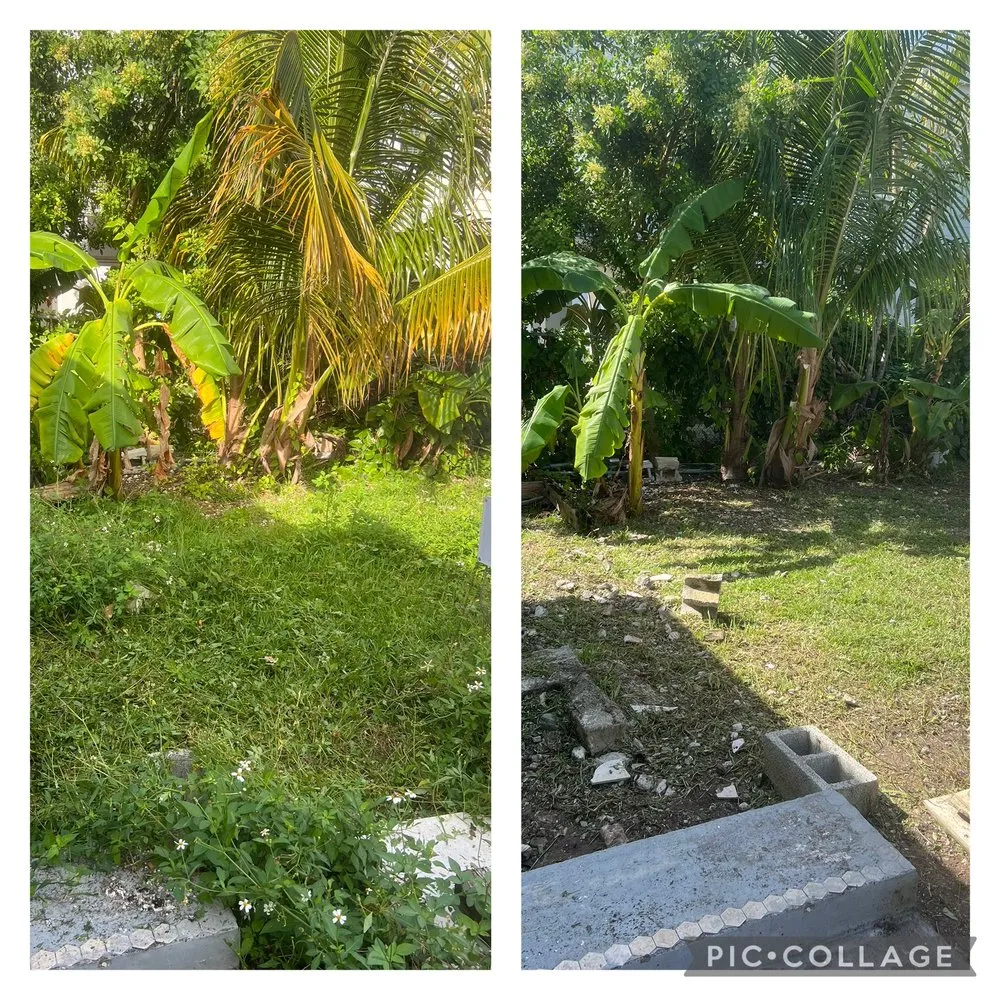 Affordable lawn care service in Key West, FL by KNW Rivera Lawn Service