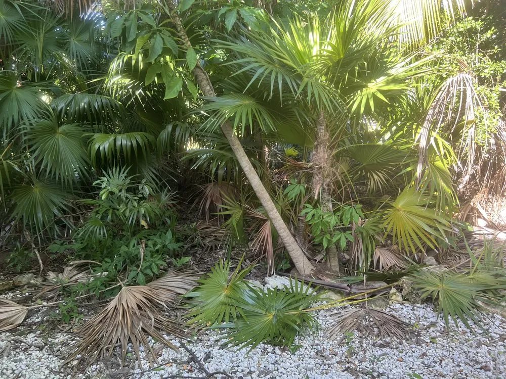 Custom lawn mowing service in Key West, FL - KNW Rivera Lawn Service