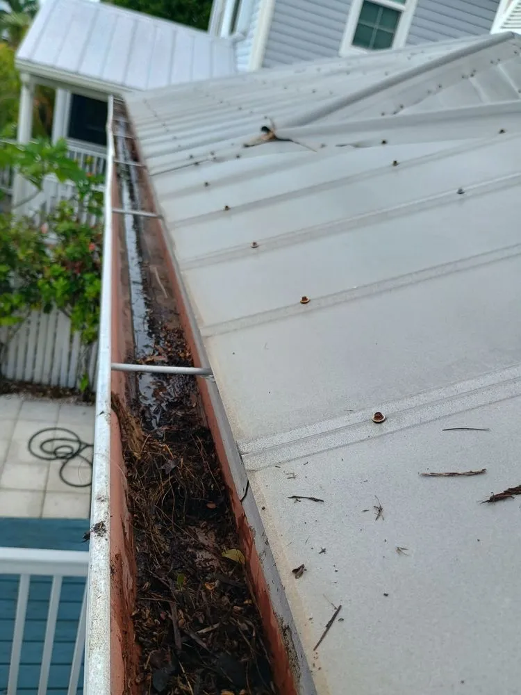 Professional outdoor landscaping in Key West, FL - KNW Rivera Lawn Service