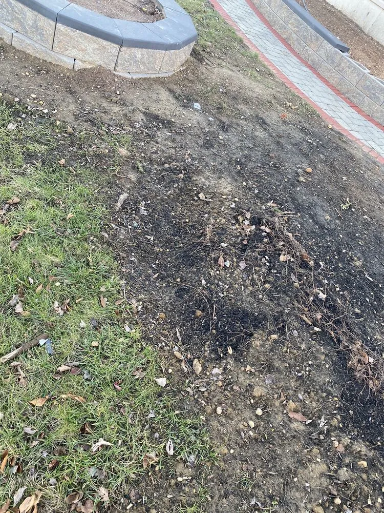 Reliable lawn care service for outdoor upgrades in New Brunswick, NJ by K&O Landscaping