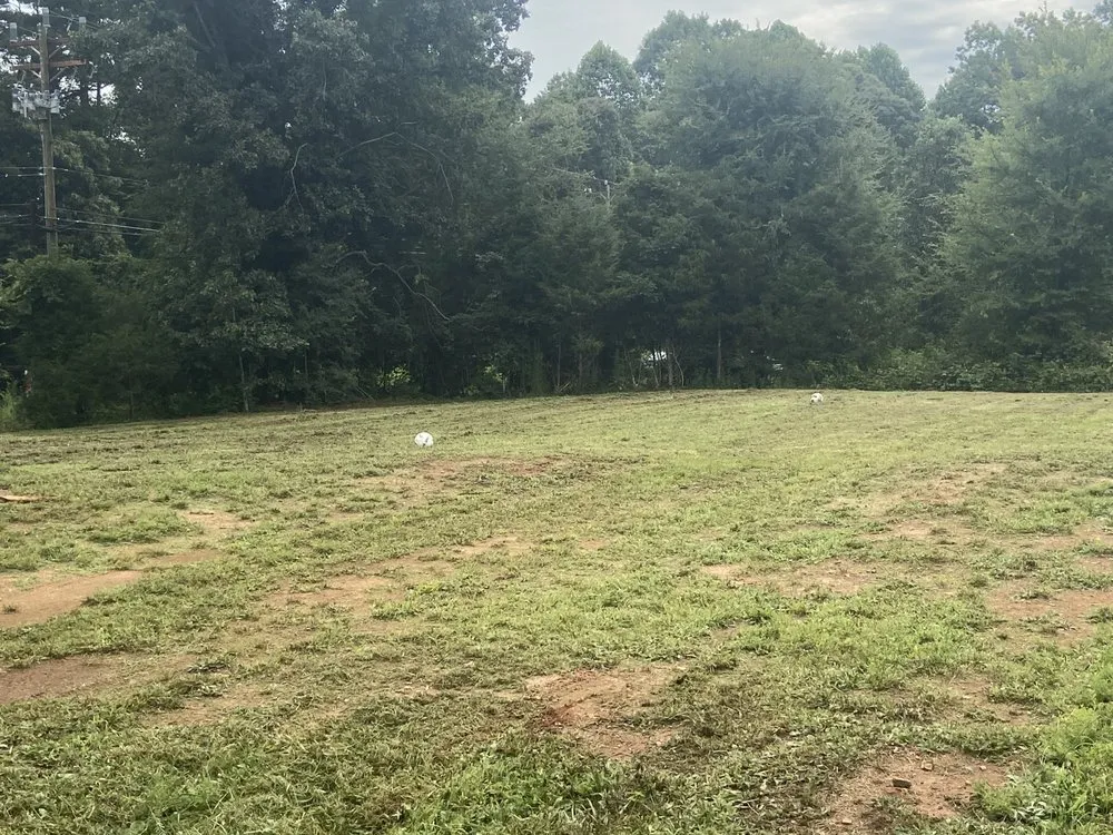 Top-rated landscaping services for beautiful yards across Rockwell, NC - KO Lawn Care And Pressure Washing Services