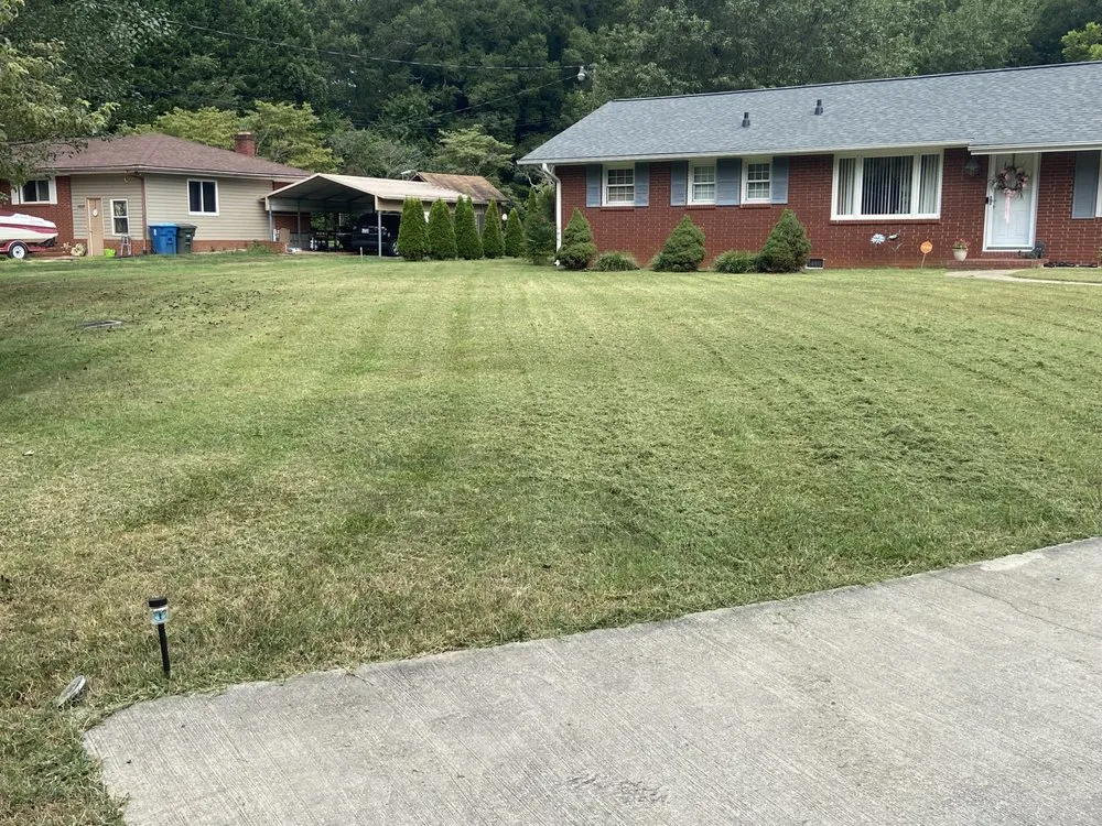 Affordable outdoor landscaping for year-round maintenance across Rockwell, NC - KO Lawn Care And Pressure Washing Services