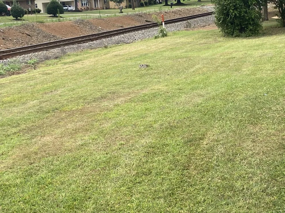 Trusted lawn care service for beautiful yards in Rockwell, NC by KO Lawn Care And Pressure Washing Services