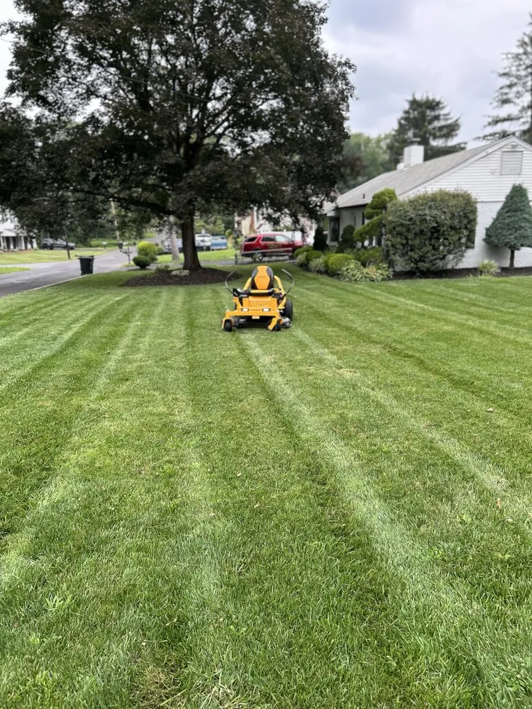 Top-rated yard cleanup service experts serving Feasterville-Trevose, PA - KO Lawn Care