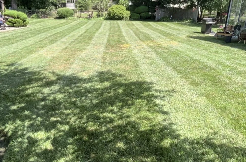 Custom landscape installation in Feasterville-Trevose, PA by KO Lawn Care