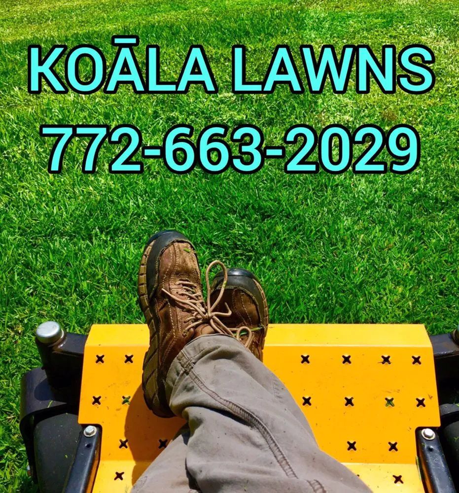 Reliable lawn care service in Vero Beach, FL - Koala Lawn Care & Home Maintenance