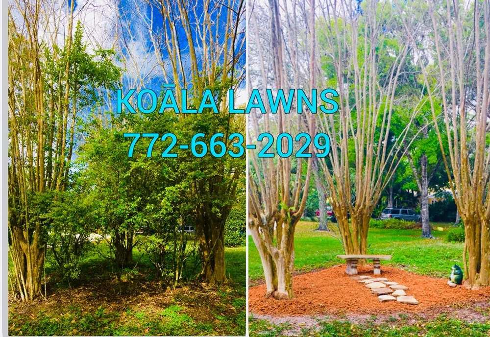Top-rated outdoor landscaping in Vero Beach, FL - Koala Lawn Care & Home Maintenance
