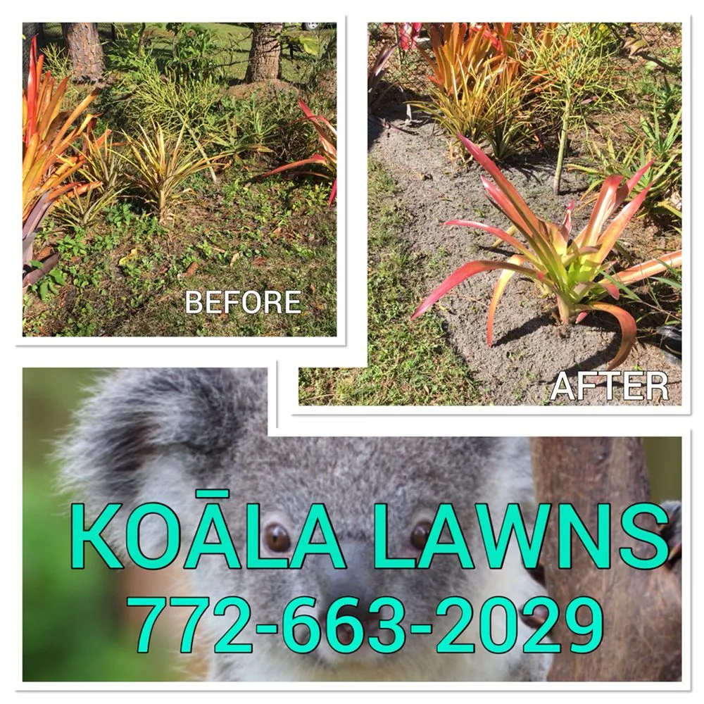 Affordable lawn care service for residential properties across Vero Beach, FL - Koala Lawn Care & Home Maintenance
