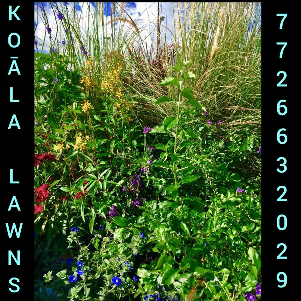 Expert outdoor landscaping in Vero Beach, FL by Koala Lawn Care & Home Maintenance