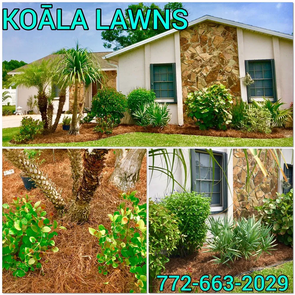Affordable landscaping services experts serving Vero Beach, FL - Koala Lawn Care & Home Maintenance