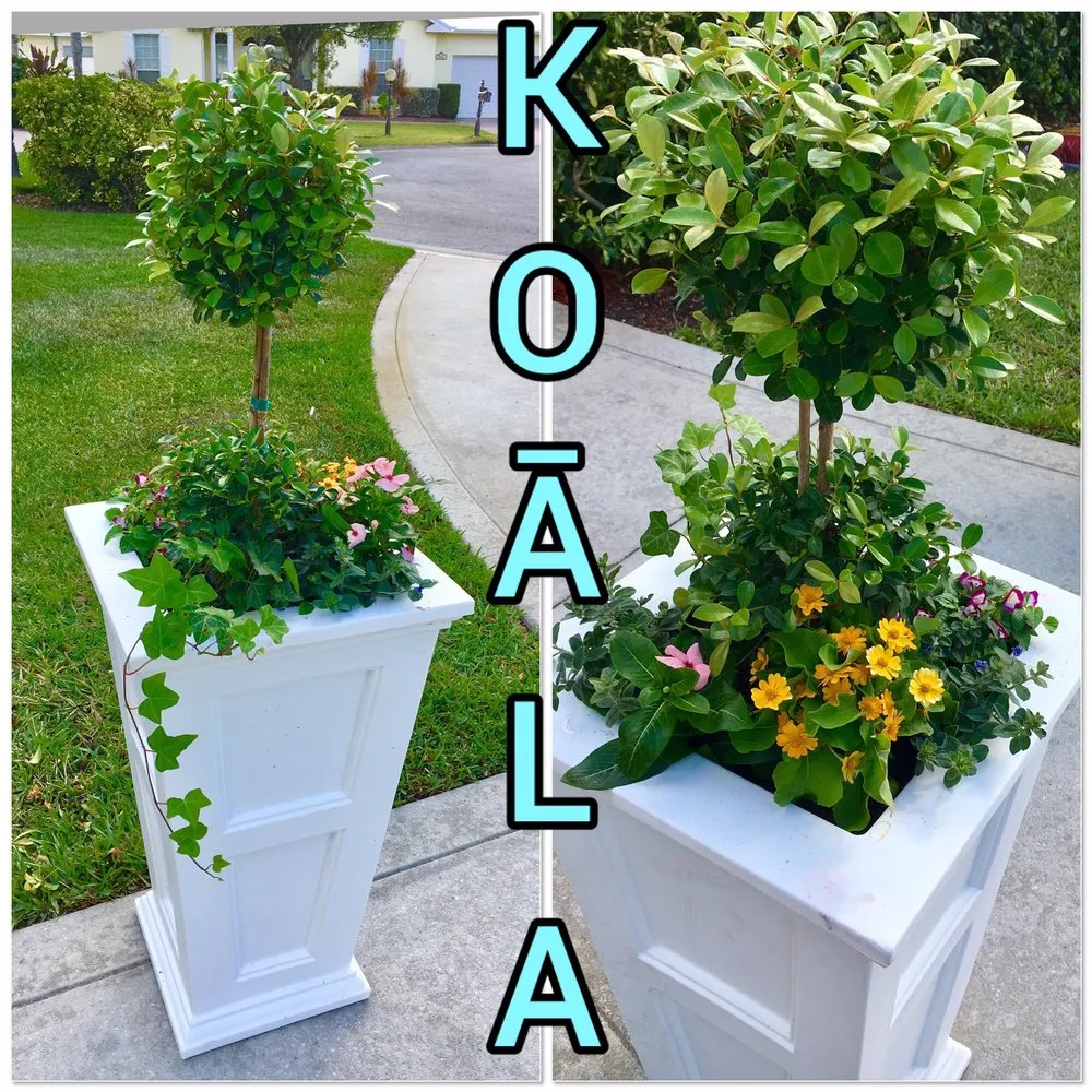 Local residential landscaping with custom design across Vero Beach, FL - Koala Lawn Care & Home Maintenance