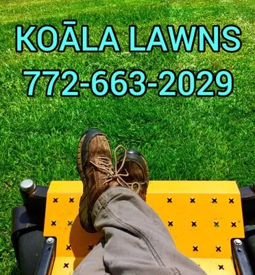 Koala Lawn Care & Home Maintenance Logo