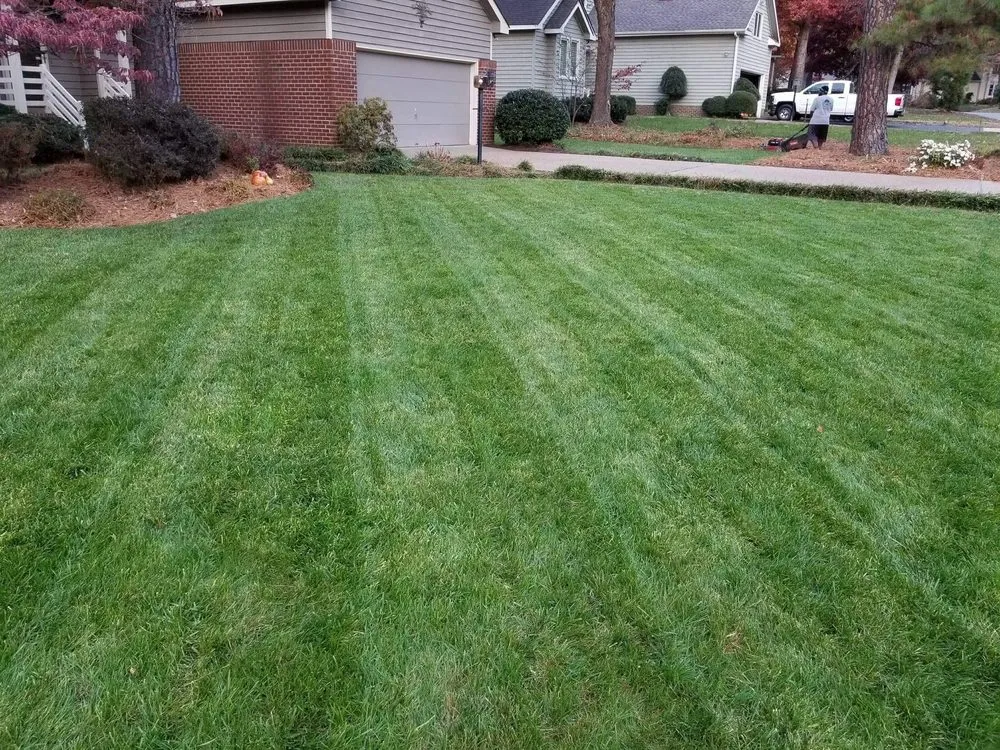 Custom garden landscaping in Myrtle Beach, SC - Koastal Lawns