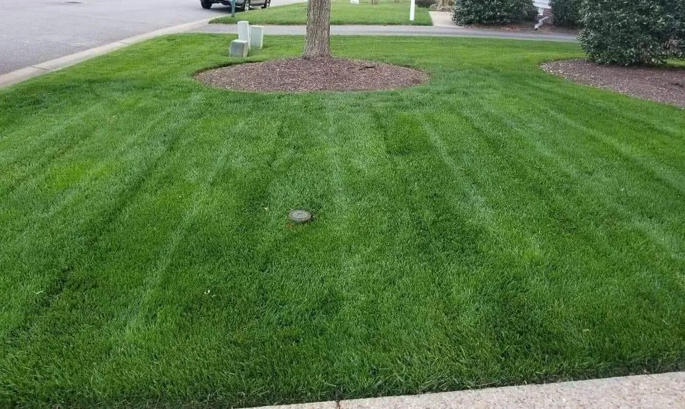 Top-rated lawn care service experts serving Myrtle Beach, SC - Koastal Lawns