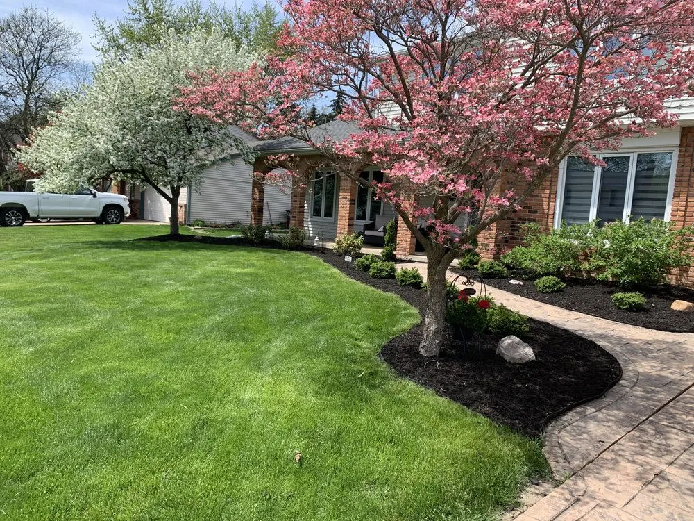 Local yard cleanup service experts serving Livonia, MI - Kobel Brothers Lawn Care