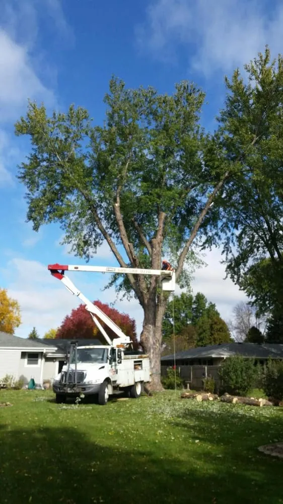 Trusted yard cleanup service in Milton, WI - Kobs & Roberts Services, LLC