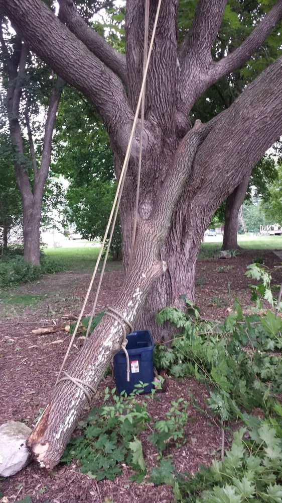 Top-rated landscape installation with custom design in Milton, WI by Kobs & Roberts Services, LLC