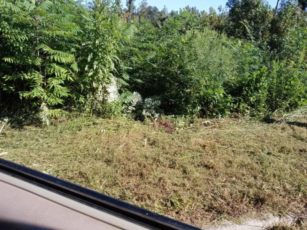 Reliable garden landscaping in Newnan, GA by Kobys Landscaping