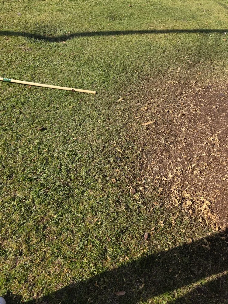Trusted landscape installation in Bay Minette, AL - Koc Stump Grinding