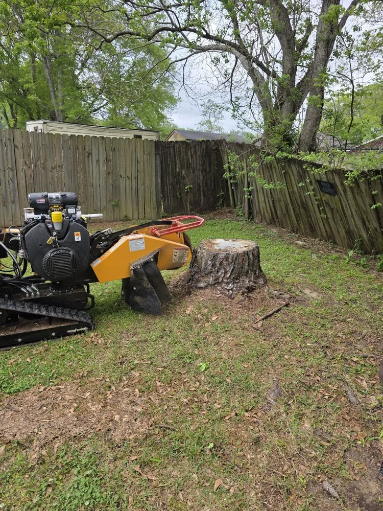 Affordable lawn mowing service experts serving Bay Minette, AL - Koc Stump Grinding