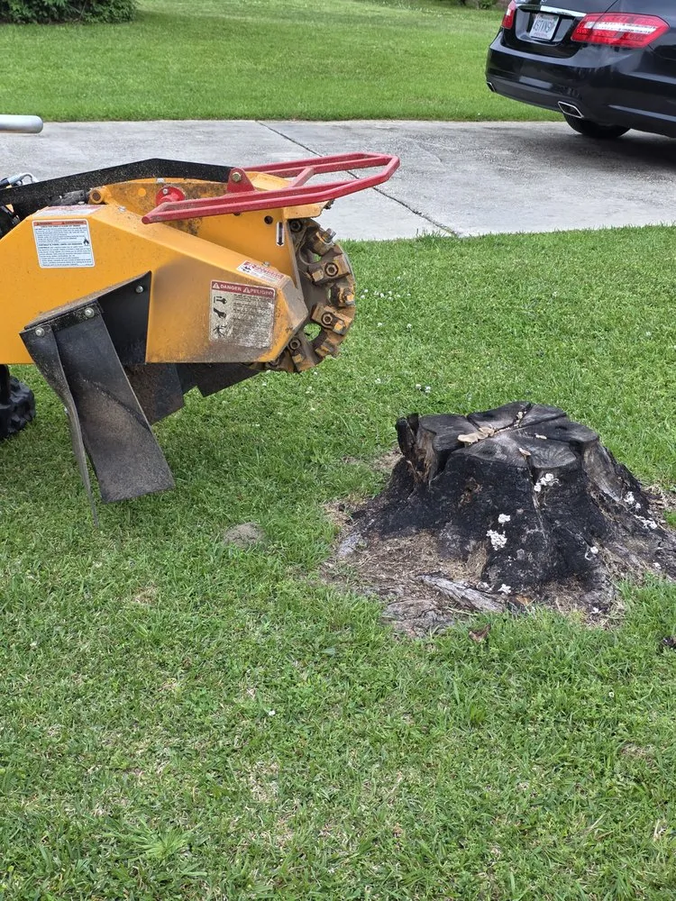 Reliable yard maintenance experts serving Bay Minette, AL - Koc Stump Grinding