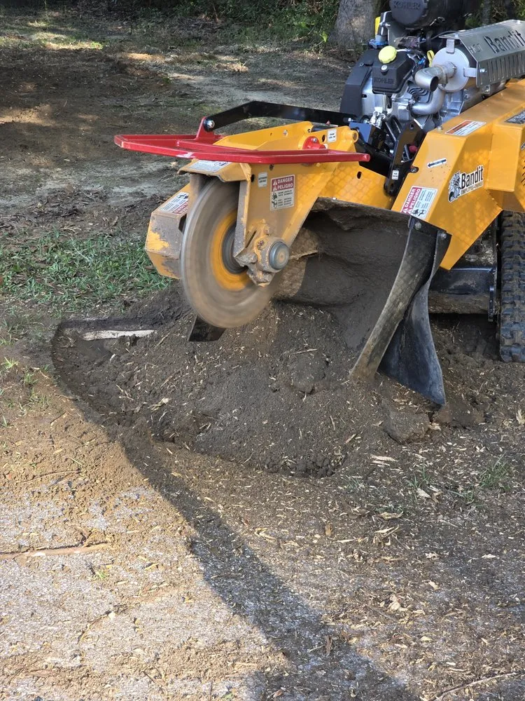 Top-rated outdoor landscaping in Bay Minette, AL - Koc Stump Grinding
