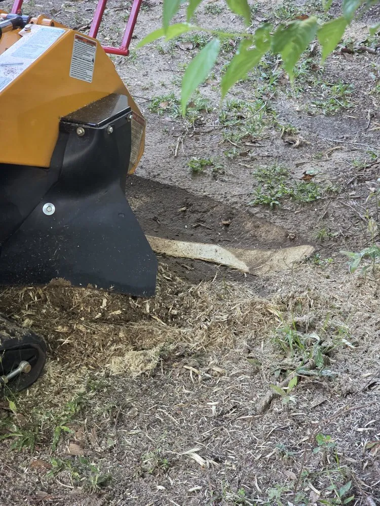 Local landscaping services in Bay Minette, AL - Koc Stump Grinding