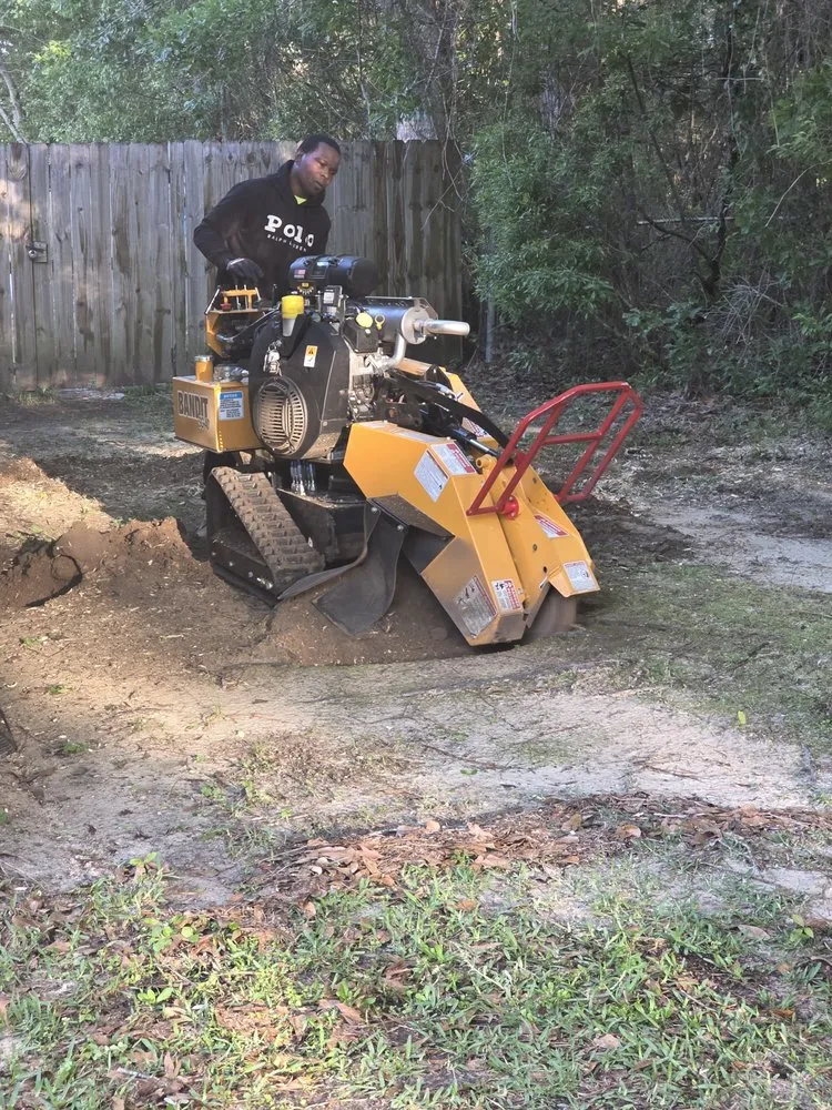 Trusted landscaping services experts serving Bay Minette, AL - Koc Stump Grinding