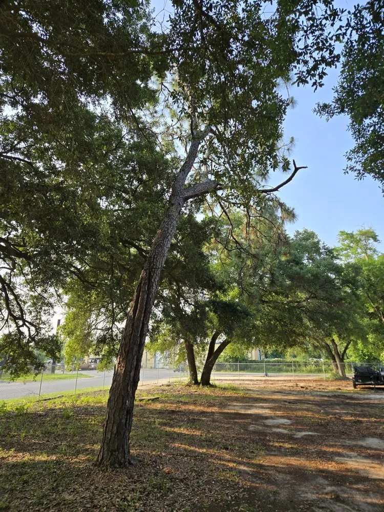 Custom lawn care service for homes in Bay Minette, AL by Koc Stump Grinding