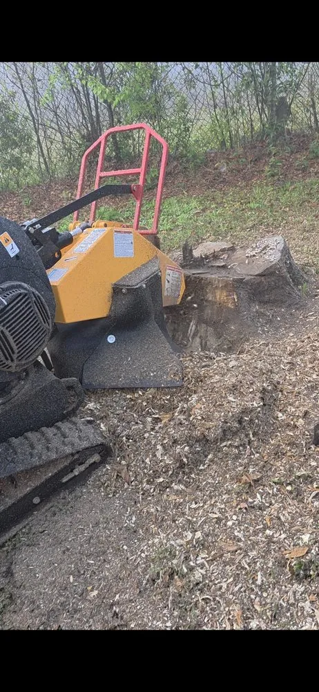 Expert landscape design in Bay Minette, AL by Koc Stump Grinding