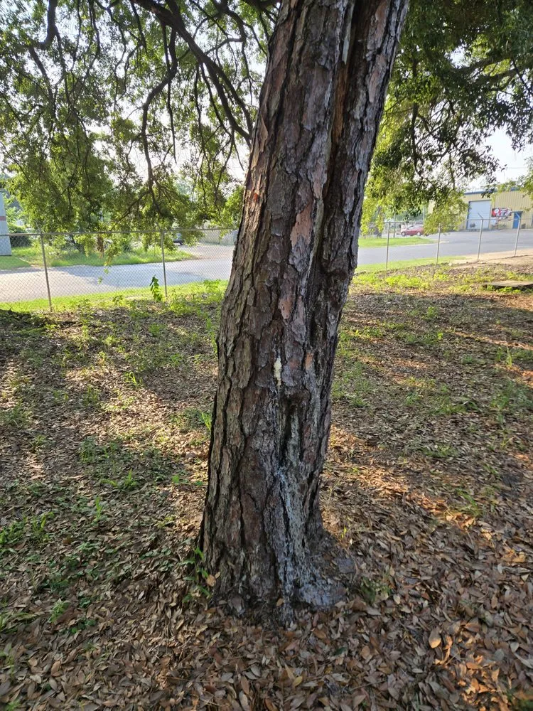 Local garden landscaping for residential properties across Bay Minette, AL - Koc Stump Grinding