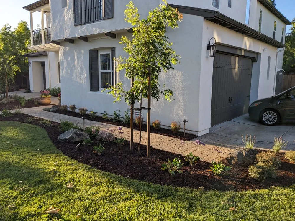 Trusted yard cleanup service near you in San Jose, CA by Koch & Associates Landscape Construction