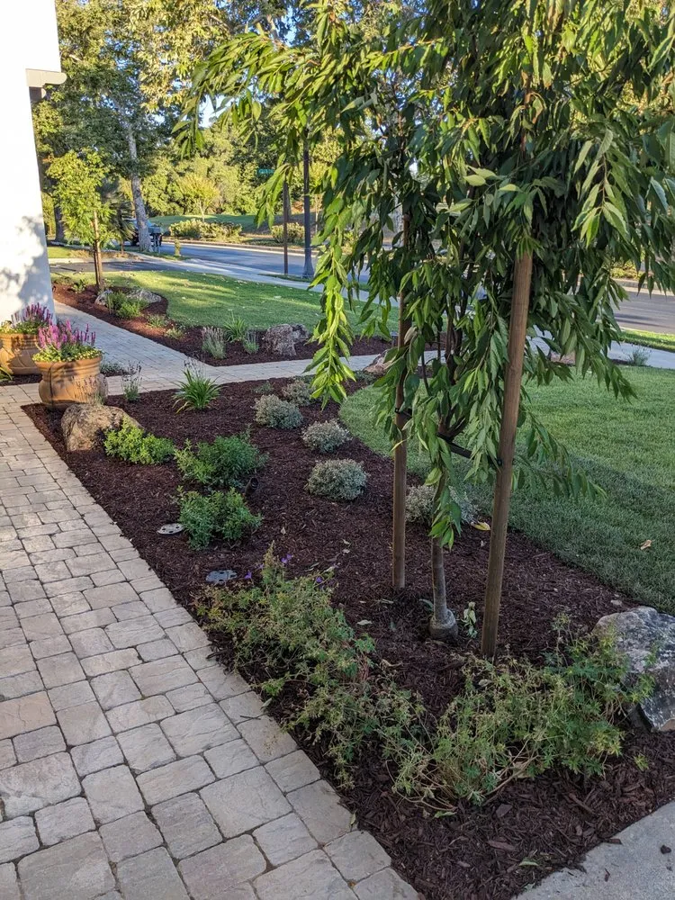 Top-rated lawn care service for outdoor upgrades in San Jose, CA by Koch & Associates Landscape Construction