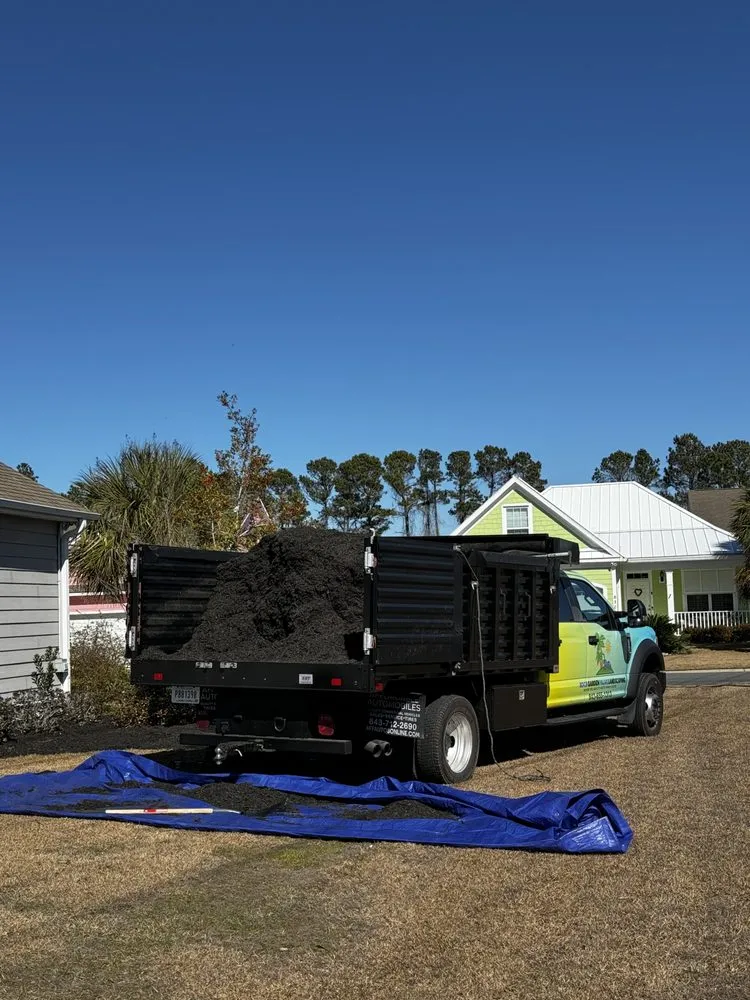 Trusted outdoor landscaping experts serving Surfside Beach, SC - Koch Garden Palms Landscaping