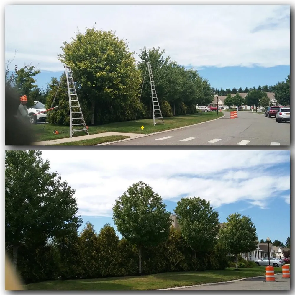 Affordable yard maintenance in Mount Sinai, NY - Koch Tree Svces
