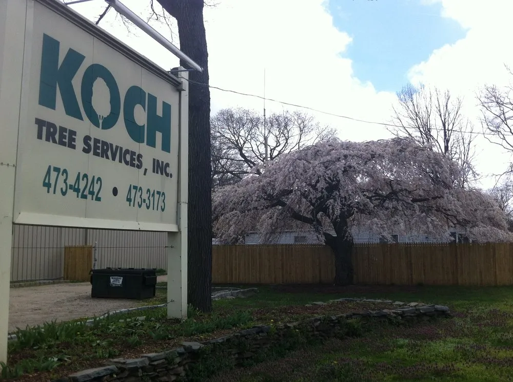 Custom lawn care service in Mount Sinai, NY - Koch Tree Svces