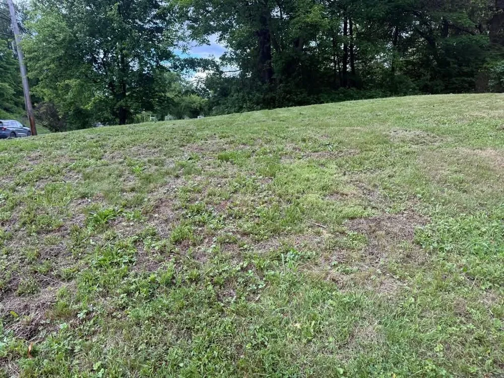 Trusted landscaping services experts serving Lake Katrine, NY - Koclips