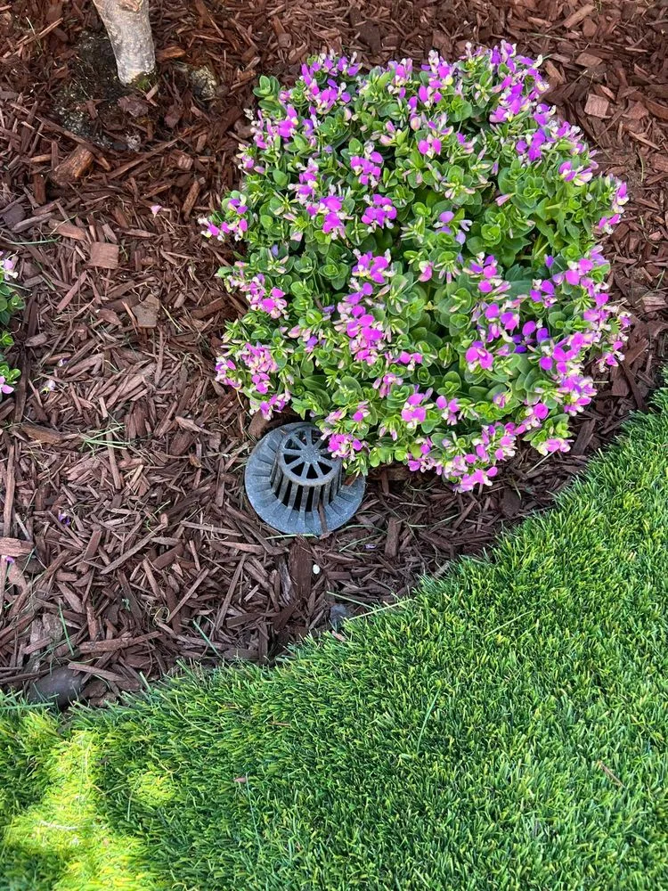 Custom residential landscaping with custom design in Santa Ana, CA by Kodee Landscaping