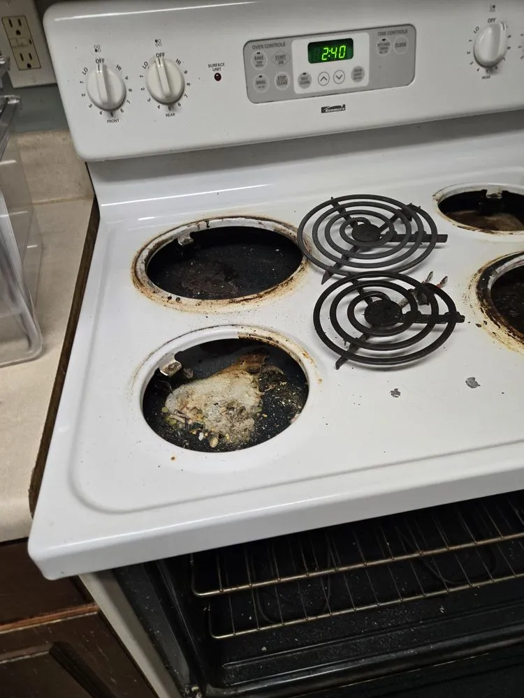 Affordable landscape design for beautiful yards across Charleston, SC - Kodi Cleaning Services