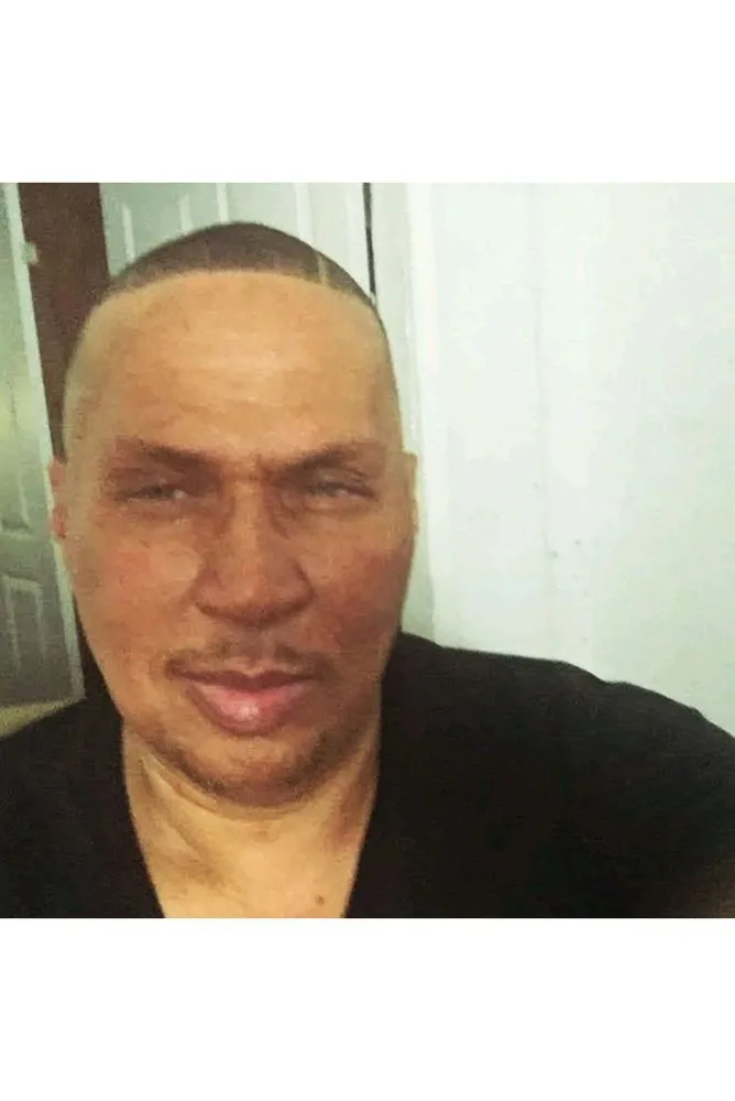 Trusted yard cleanup service experts serving Charleston, SC - Kodi Cleaning Services