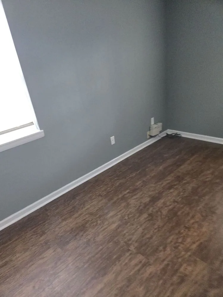 Professional yard cleanup service in Charleston, SC - Kodi Cleaning Services