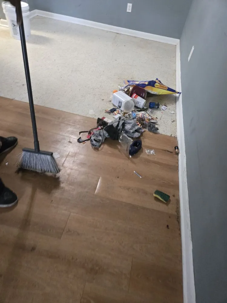 Expert landscape design for year-round maintenance in Charleston, SC by Kodi Cleaning Services