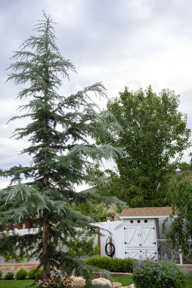 Expert outdoor landscaping in Cottonwood Heights, UT by Kodiak Landscape